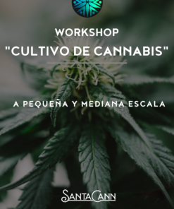 Medicinal Cannabis Cultivation Workshop - Ecuador